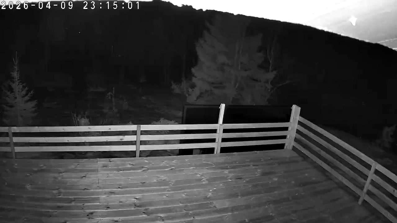 Latest uploaded image